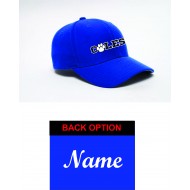 COLES SCHOOL BASEBALL HAT W/ NAME OPTION