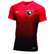 Cougar Soccer Club Nike BOYS_MENS Precision IV Jersey - RED