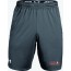 ST Peters Swimming UNDER ARMOUR Pocketed Raid Shorts - GREY