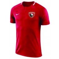 Cougar Soccer Club Nike YOUTH_MENS Challenge II Jersey - RED