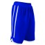 Springfield Basketball Alleson BOYS/MENS Reversible Basketball Shorts