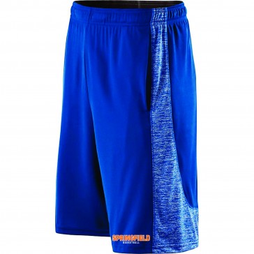 Springfield Basketball HOLLOWAY Electron Shorts