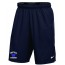 Westfield HS Boys Swimming NIKE Fly Shorts