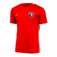 Cougar Soccer Club Nike YOUTH_MENS Challenge IV Jersey - RED