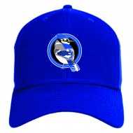MLL Blue Jays PACIFIC Pro Wool Flexfit Hat