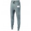 Nut Swamp School HOLLOWAY Joggers - GREY