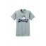 Nut Swamp School GILDAN T Shirt - GREY