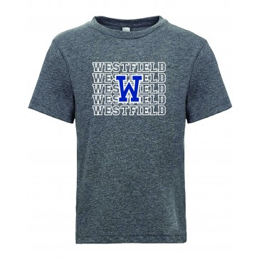 Tamaques School NEXT LEVEL Triblend T - GREY