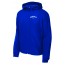 Tamaques School SPORT TEK Hooded Raglan Jacket